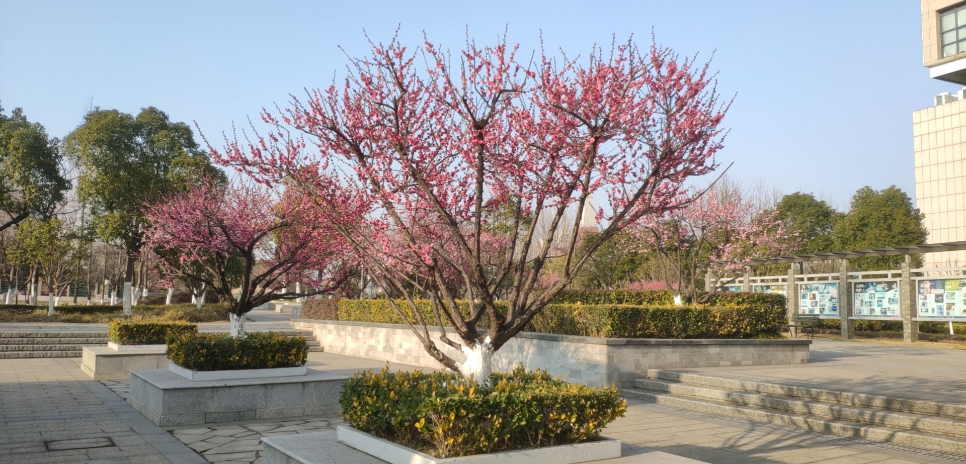 我这十八年的头图